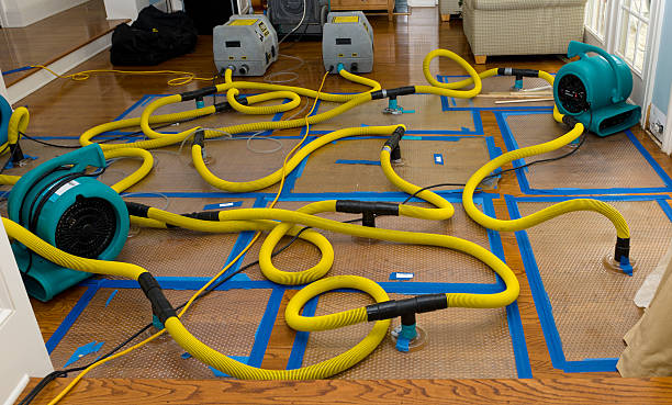 Professional Water Damage Restoration technician working in Pewamo, MI
